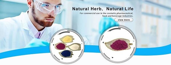 LonierHerb