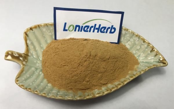 Yucca Extract Powder