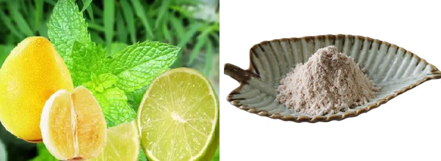 Naringin Powder