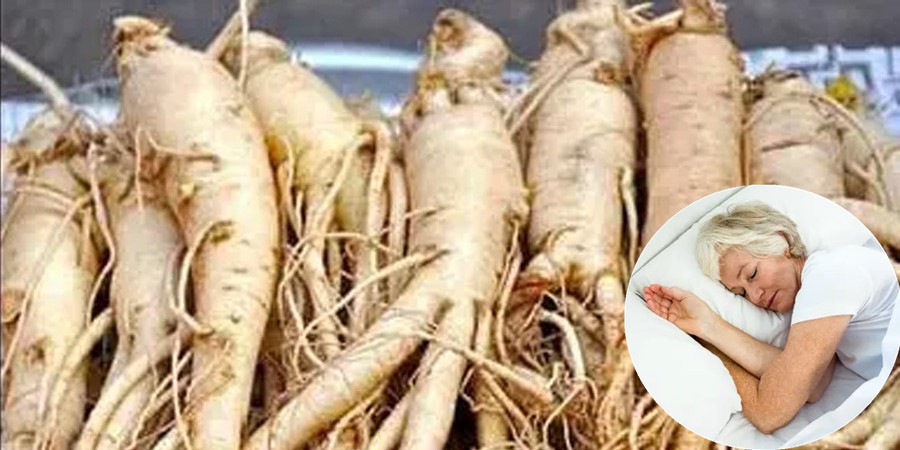Ashwagandha Root Extract Powder factory