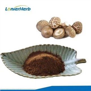 Poudre d'extrait de champignon shiitake