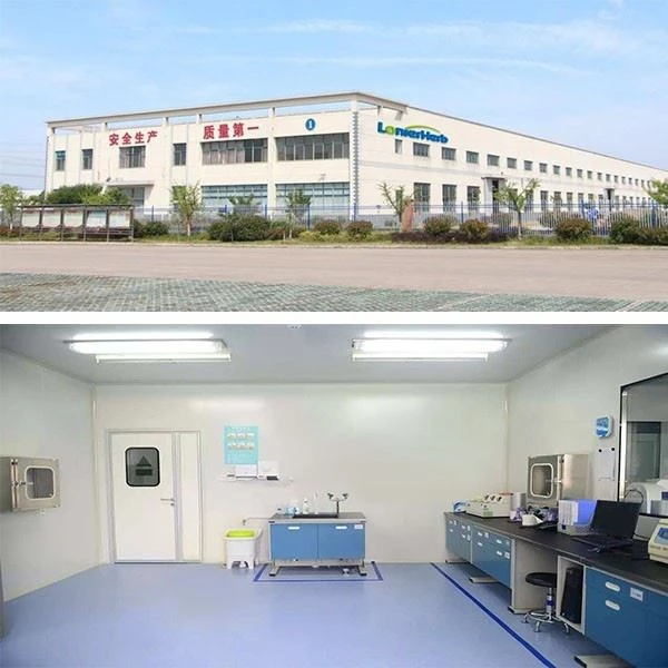 Factory and lab