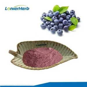 Poudre de jus de baies d'açaï