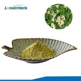 Extrait d'Erigeron Breviscapus