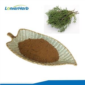 Extrait de feuille d'arborvitae oriental