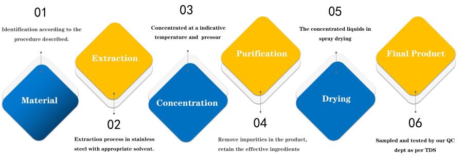 Lonierherb Manufacturing Process Lonierherb Manufacturing Process