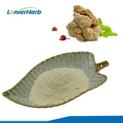 Poudre d'extrait de notoginseng